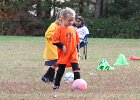 IMG 3532