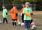 IMG 3581