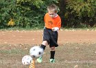 IMG 3612