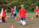 IMG 3616