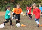 IMG 3621