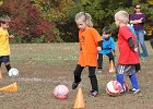 IMG 3623