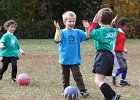 IMG 3637