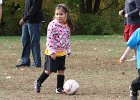 IMG 3648