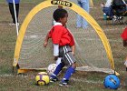 IMG 3657