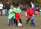 IMG 3659