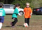 IMG 3711