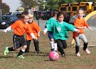 IMG 3715
