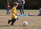 IMG 3723