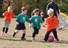 IMG 3728