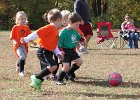 IMG 3730