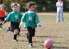 IMG 3738