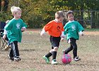 IMG 3741