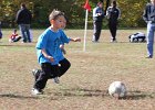 IMG 3750