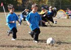 IMG 3754