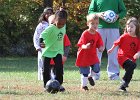 IMG 3778