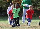 IMG 3779