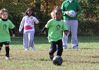 IMG 3781