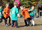 IMG 3799
