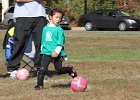 IMG 3800