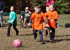 IMG 3812