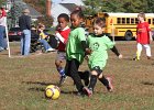 IMG 3855