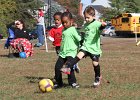 IMG 3857