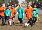 IMG 3862