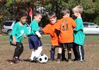 IMG 3876