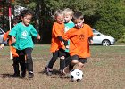 IMG 3881