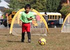 IMG 3921