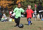 IMG 3928