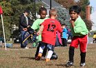 IMG 3934