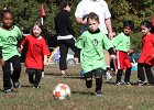 IMG 3937