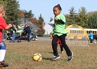 IMG 3941